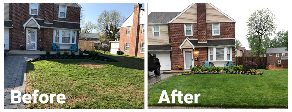 before after lawn care
