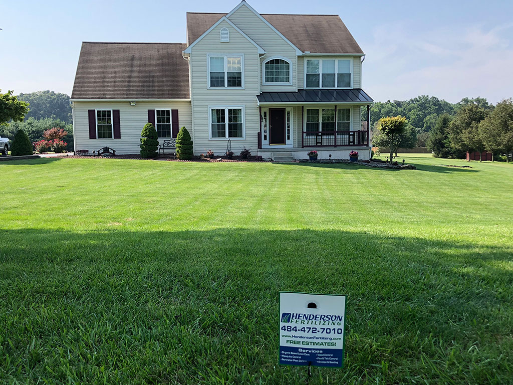 Lawn care treatment in Springfield