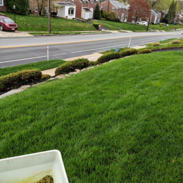 havertown lawn care